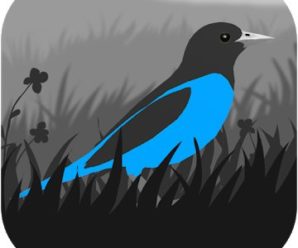 Grayland MOD (Free Shopping) APK for Android Offline