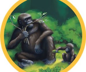 Conservation Crisis (PAID) APK for Android