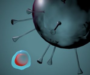 L-ESCAPE (PAID) APK for Android