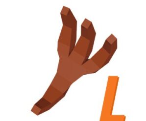 Land of Birders Lite APK For Android