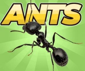 Pocket Ants Colony Simulator Mod Apk v0.0809 (Unlimited Money) Latest version